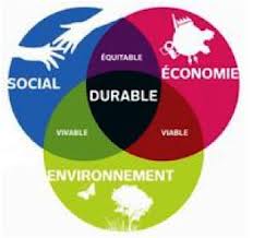 graphique développement durable consultant en environnement